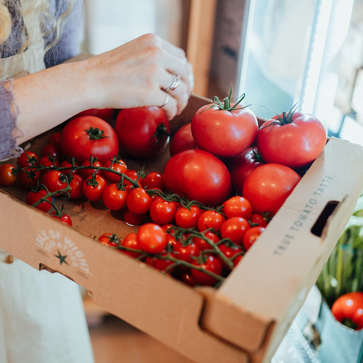 Large Organic Fresh Veg Box