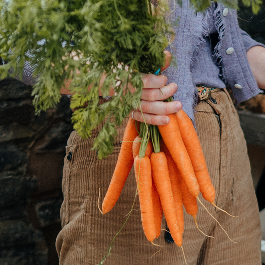 Organic English Carrots (1KG)