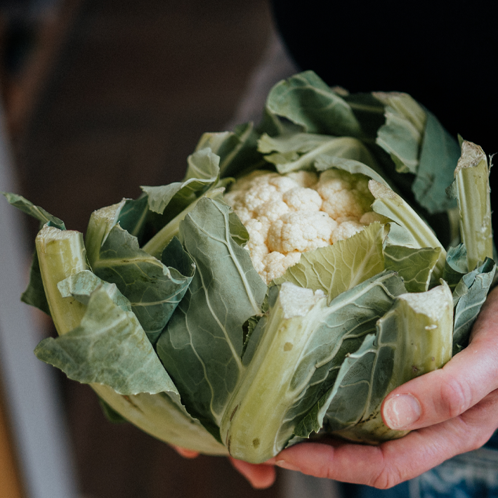 Organic English Cauliflower