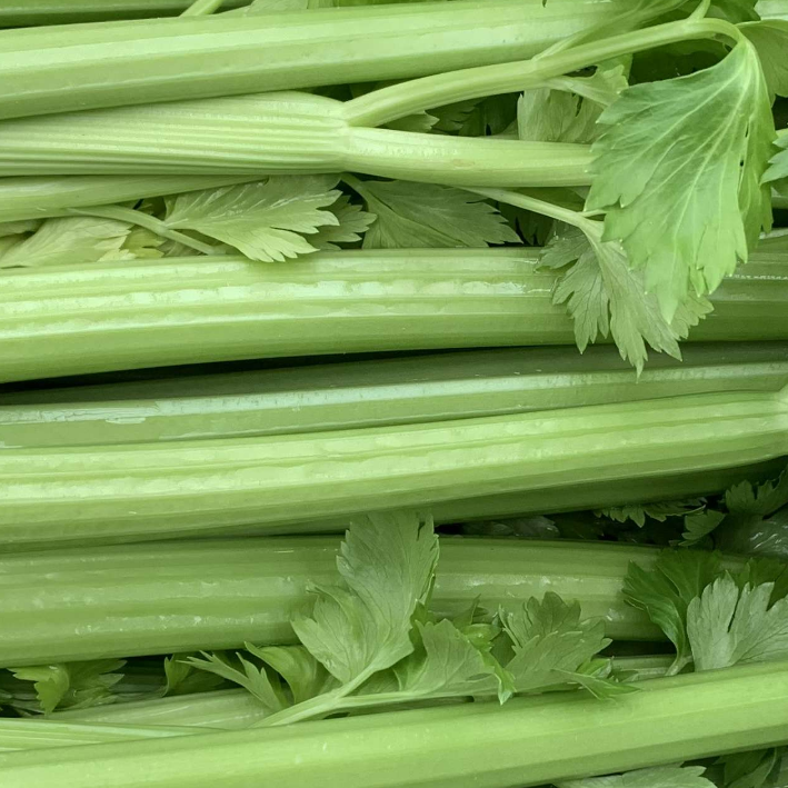 Organic Celery