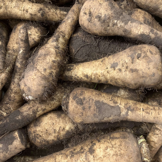 Organic English Parsnips (1KG)