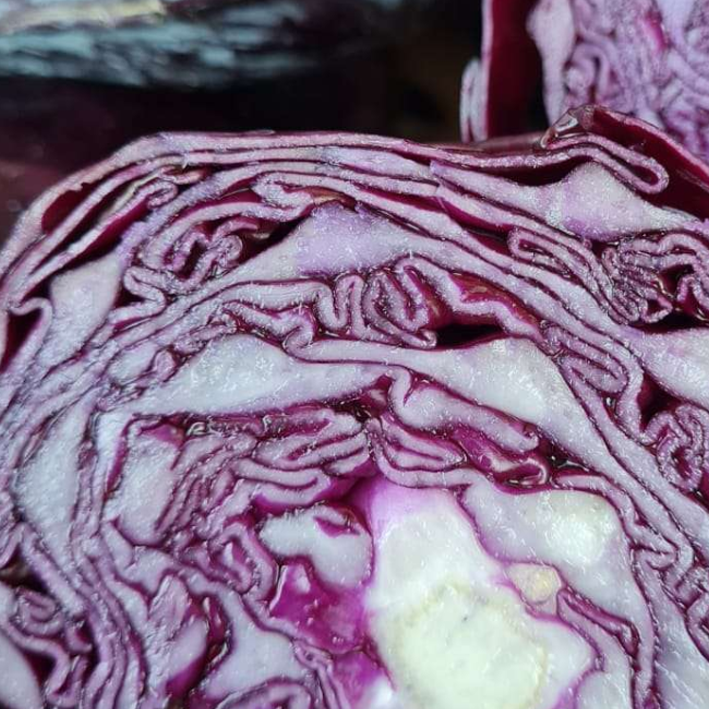 Organic English Red Cabbage