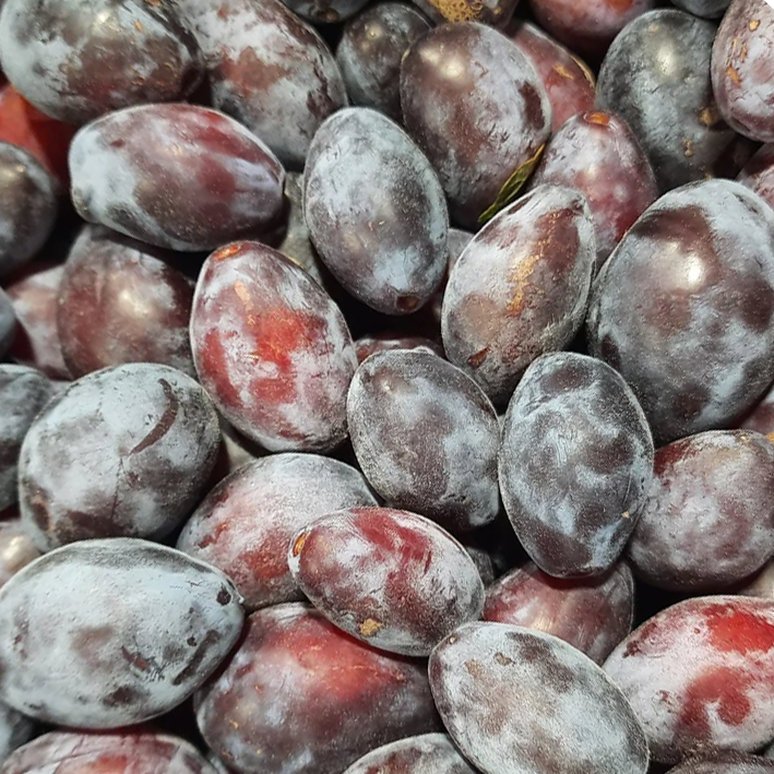 Foraged Plum & Red Onion Chutney