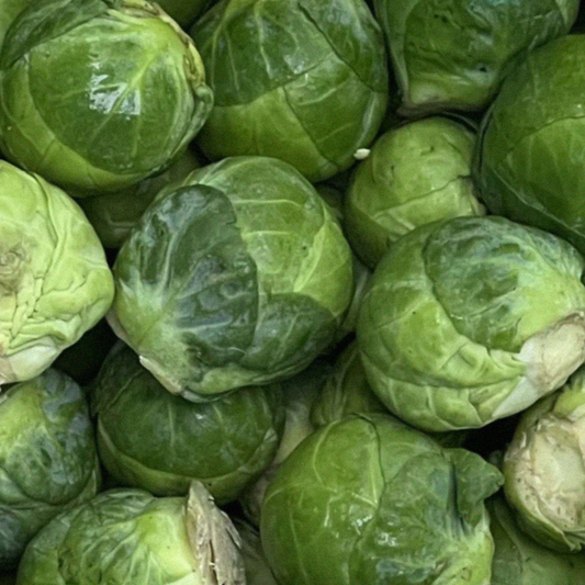 Organic English Brussel Sprouts