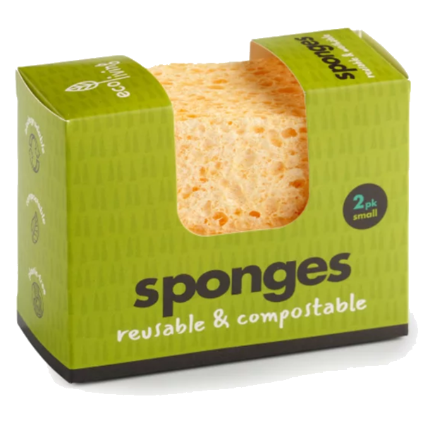 Reusable & Compostable Sponge